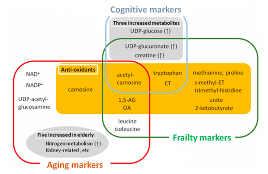 Fluctuating Molecule Levels in the Blood May Indicate Signs of Aging