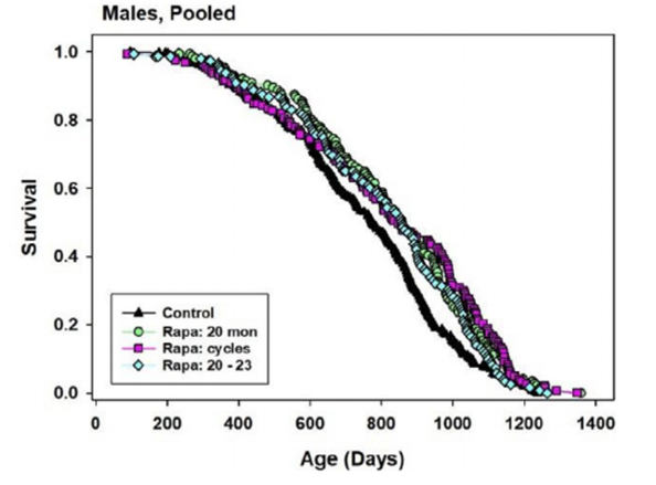 Late Life Rapamycin Dosing Regimens Extend Mouse Lifespan In A Sex