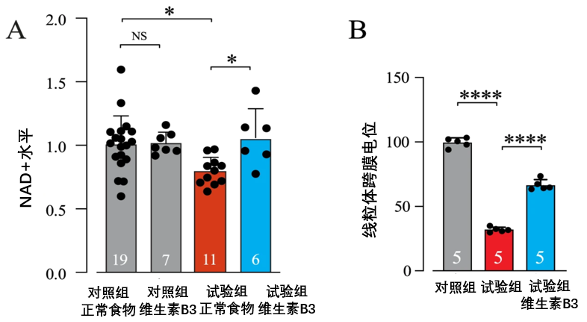 图1 膳食补充维生素B3对阿尔茨海默症果蝇的影响