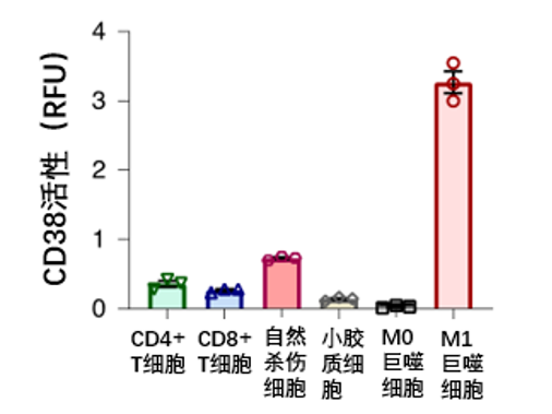 图2 不同免疫细胞中CD38蛋白的活性