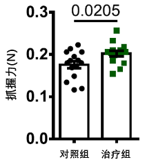 图2 达沙替尼和槲皮素联合治疗对小鼠抓握力的影响