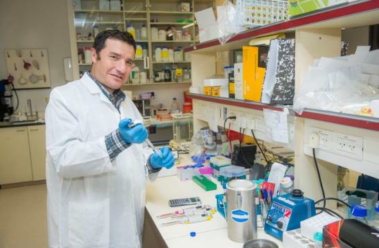 图2 以色列巴伊兰大学的Cohen教授，多年致力于探索SIRT6的抑衰作用