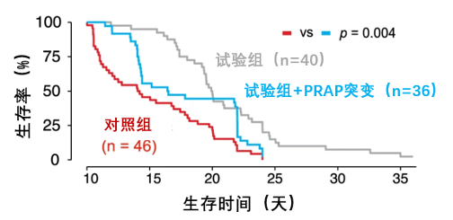 图2 PARP抑制可以延长阿尔茨海默症果蝇的生存时间